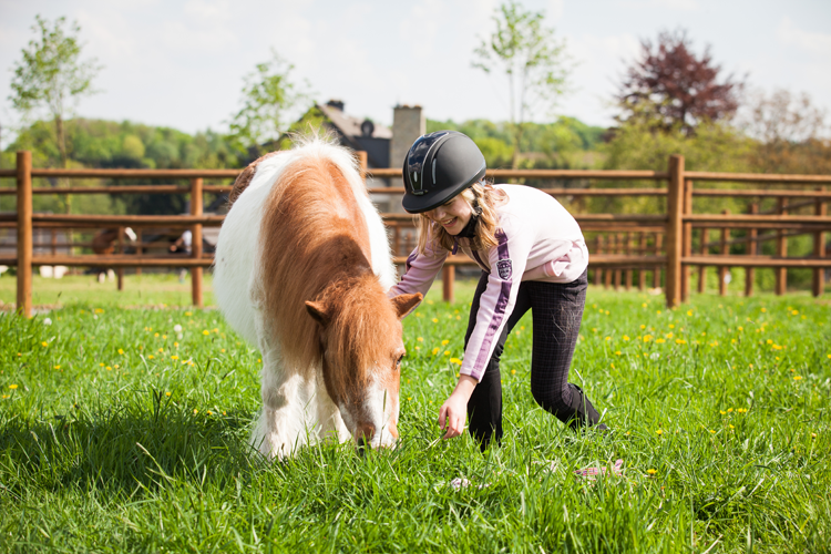Horse Supplies Store 40 Horse Supplies Store -Horse Supplies Store 2