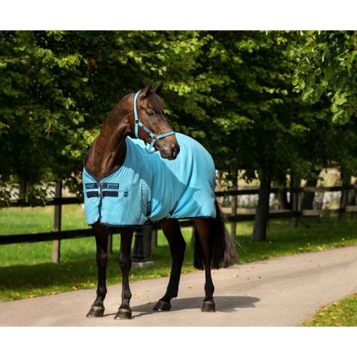 Amigo Polyester Stable Sheet - Delphinium Blue/Navy 1 Amigo Polyester Stable Sheet - Delphinium Blue/Navy -Horse Supplies Store 304559 800 800