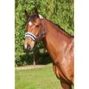 Saxon Element Fleece Headcollar - Navy/Blue