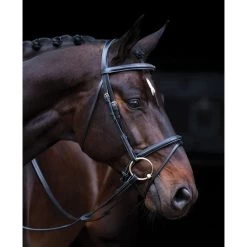 Amigo Deluxe Bridle - Black