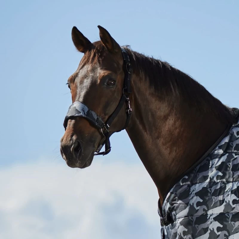 Horze Limited Edition Camo Print Halter - Black 3 Horze Limited Edition Camo Print Halter - Black