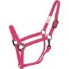 Western Rawhide SignatureFashion Halter W/Black Nickel Finish Hardware - Pink -Horse Supplies Store 360353 800 800