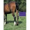Jammies Three Piece Tail Wrap - Purple -Horse Supplies Store 406799 800 800