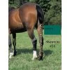Jammies Three Piece Tail Wrap - Green -Horse Supplies Store 407306 800 800