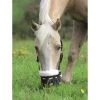 Shires Deluxe Comfort Grazing Muzzle - Black 1 Shires Deluxe Comfort Grazing Muzzle - Black -Horse Supplies Store 419576 800 800