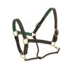 Ovation Richtan Luxury Padded Halter - Brown/Hunter 1 Ovation Richtan Luxury Padded Halter - Brown/Hunter -Horse Supplies Store 422276 800 800