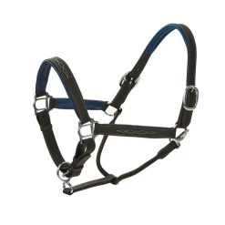 Ovation Richtan Luxury Padded Halter - Black/Blue