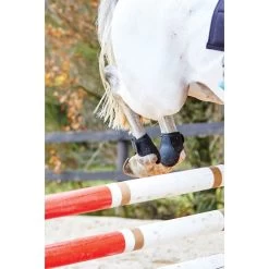 Weatherbeeta Lite Fetlock Boots - Black 16 Weatherbeeta Lite Fetlock Boots - Black -Horse Supplies Store 442526 800 800