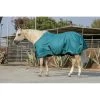 Kensington Signature Heavy Weight Turnout - Habor -Horse Supplies Store 480237 800 800