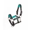 Perri's 3/4" Mini/Pony Padded Leather Halter - Black/Turquoise -Horse Supplies Store 503678 800 800