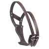 Camelot Wonder Cribbing Collar - Brown -Horse Supplies Store 504320 800 800