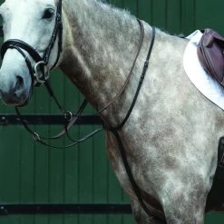 Collegiate Essential Plain Flat Running Martingale - Brown