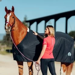 Horze Women's Lily Technical T-Shirt - Rouge Red 11 Horze Women's Lily Technical T-Shirt - Rouge Red -Horse Supplies Store 548928 800 800