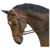 M. Toulouse Hybrid Jumper Bridle - Chocolate/Cognac -Horse Supplies Store 631134 800 800