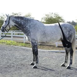 Ice Horse Stifle Wrap - Black -Horse Supplies Store 632119 800 800