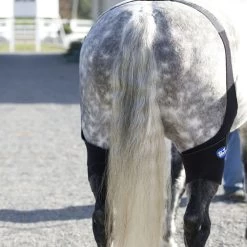 Ice Horse Stifle Wrap - Black -Horse Supplies Store 632120 800 800