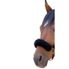 CoolBack Noseband Cover - Black -Horse Supplies Store 675055 800 800